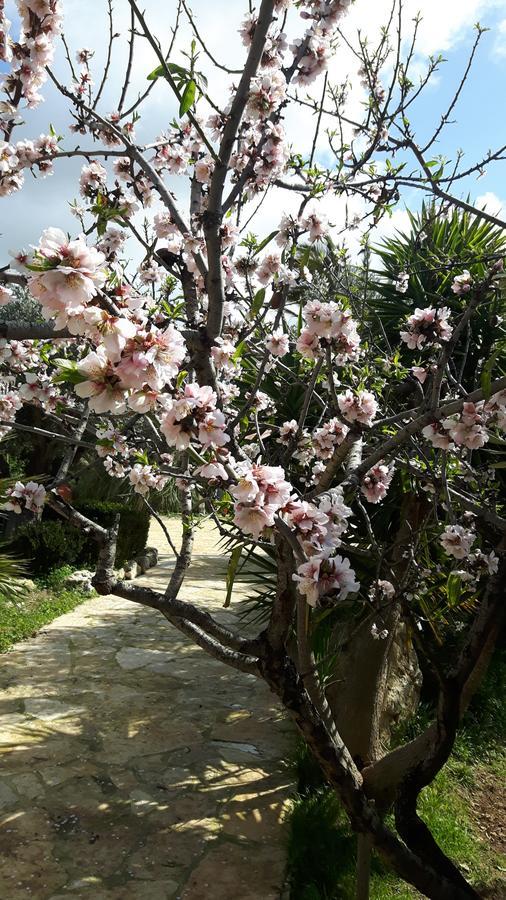 Casale Rocca Russa B&B Villaggio Mose  Luaran gambar